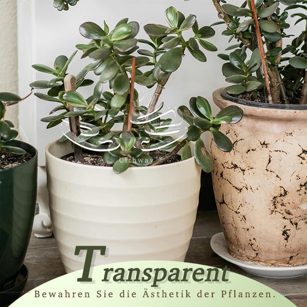 Cithway™ Unsichtbare Stütze für Pflanzenstämme