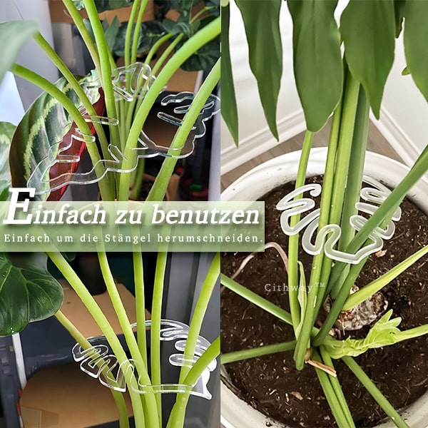 Cithway™ Unsichtbare Stütze für Pflanzenstämme